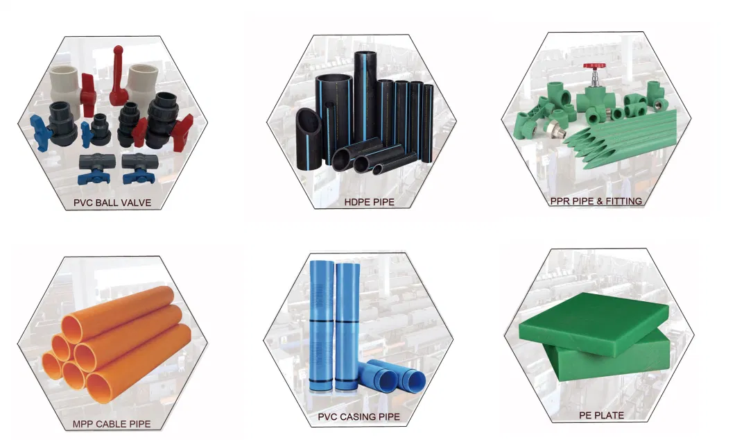 All Types of Blue Color Green Color PPR Pipe Fittings List Names PPR Accessories for Hot Water Cold Water